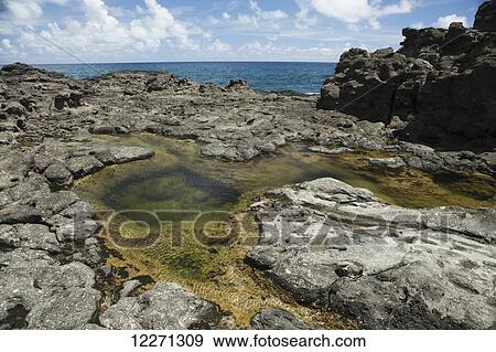 Stock Photo - Tide pools at Makolea Point; Kauai, Hawaii, United States of America. Fotosearch