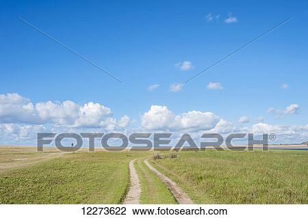 Stock Image - Tire tracks form a dirt road in an expansive grass landscape; Laguna de Rocha, Uruguay. Fotosearch