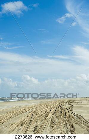 Tire tracks in the sand on Casino Beach, the longest beach in the world; Rio Grande do Sul, Brazil View Large Photo Image Stock Photograph - Tire tracks in the sand on Casino Beach, the longest beach in the world; Rio Grande do Sul, Brazil . Fotosearch