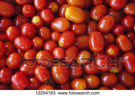 Stock Image - Tomatoes at a roadside stand; Dunham, Quebec, Canada. Fotosearch