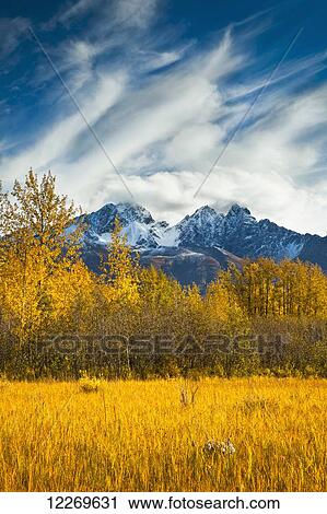 Stock Image - Twin Peaks and Matanuska River meadow, surrounded by autumn coloured birch trees, Palmer Hay Flats State Game Refuge; Alaska, United State of America. Fotosearch