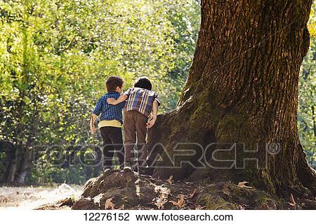 Stock Image - Two young brothers exploring in a rainforest; Langley, British Columbia, Canada. Fotosearch