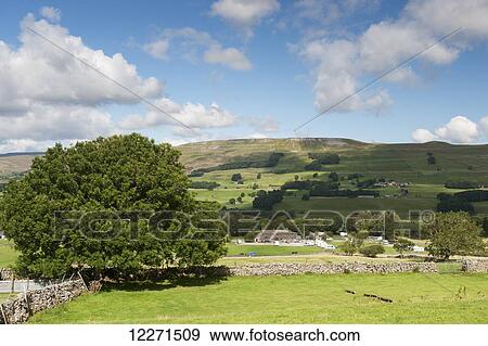 Upper Wensleydale looking over Hawes from Burtersett; North Yorkshire, England View Large Photo Image Stock Photo - Upper Wensleydale looking over Hawes from Burtersett; North Yorkshire, England. Fotosearch