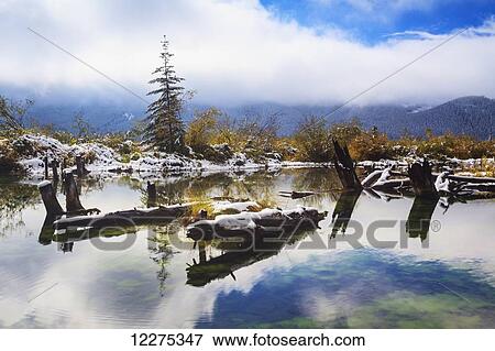 Vermillion Lakes, Banff National Park; Alberta, Canada View Large Photo Image Stock Photo - Vermillion Lakes, Banff National Park; Alberta, Canada. Fotosearch