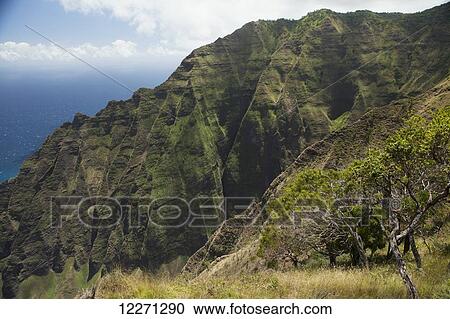 View of Honopu Valley along the Na Pali Coast from the Honopu Ridge Trail at Kokee State Park; Kauai, Hawaii, United States of America View Large Photo Image Stock Image - View of Honopu Valley along the Na Pali Coast from the Honopu Ridge Trail at Kokee State Park; Kauai, Hawaii, United States of America. Fotosearch
