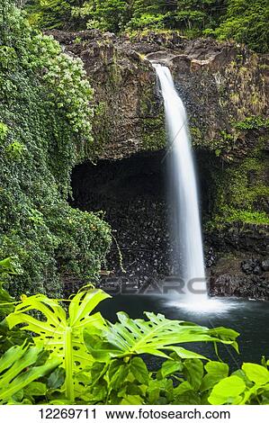 View of Rainbow Falls with tropical plants, Wailuku River State Park; Island of Hawaii, Hawaii, United States of America View Large Photo Image Stock Image - View of Rainbow Falls with tropical plants, Wailuku River State Park; Island of Hawaii, Hawaii, United States of America. Fotosearch