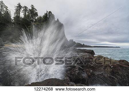 Stock Photo - Water explodes through the blow hole near Tow Hill on the North shore of Haida Gwaii, Naikoon Provincial Park; British Columbia, Canada. Fotosearch