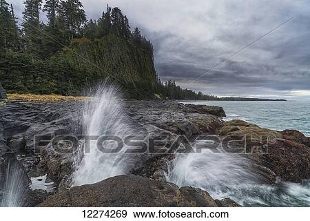 Stock Photo - Water explodes through the blow hole near Tow Hill on the North shore of Haida Gwaii, Naikoon Provincial Park; British Columbia, Canada. Fotosearch