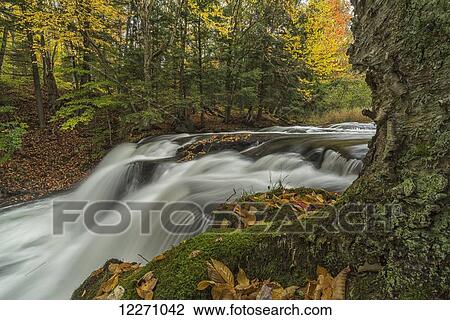 Water flowing over Skeleton Falls in autumn, near Bracebridge; Ontario, Canada View Large Photo Image Stock Image - Water flowing over Skeleton Falls in autumn, near Bracebridge; Ontario, Canada. Fotosearch