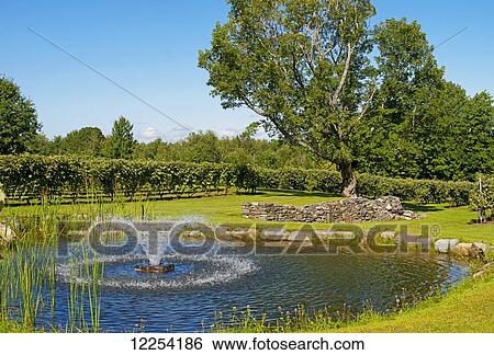 Water fountain in a vineyard; Dunham, Quebec, Canada View Large Photo Image Stock Photograph - Water fountain in a vineyard; Dunham, Quebec, Canada. Fotosearch