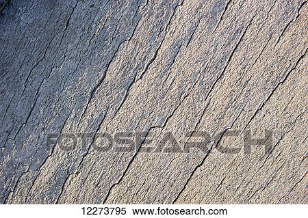 Weathered and cracked whale bone detail; Noatak, Alaska, United States of America View Large Photo Image Stock Photography - Weathered and cracked whale bone detail; Noatak, Alaska, United States of America. Fotosearch