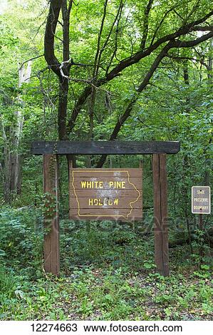 Stock Image - White Pine Hollow sign at the entrance of White Pine Hollow State Forest, near Colesburg; Iowa, United States of America. Fotosearch