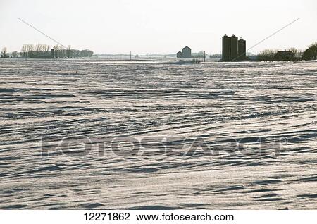 Wind swept snow covered fallow agricultural field in winter with grain silos in the background, near Truman; Minnesota, United States of America View Large Photo Image Stock Image - Wind swept snow covered fallow agricultural field in winter with grain silos in the background, near Truman; Minnesota, United States of America. Fotosearch