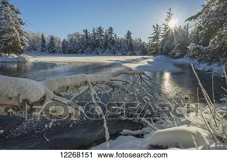 Winter landscape with ice on a lake; Ontario, Canada View Large Photo Image Stock Image - Winter landscape with ice on a lake; Ontario, Canada. Fotosearch
