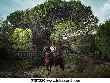 Woman horseback riding; Tarifa, Cadiz, Andalusia, Spain View Large Photo Image Stock Image - Woman horseback riding; Tarifa, Cadiz, Andalusia, Spain. Fotosearch