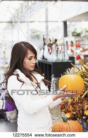 Woman looking at pumpkins in a greenhouse; St. Albert, Alberta, Canada View Large Photo Image Picture - Woman looking at pumpkins in a greenhouse; St. Albert, Alberta, Canada. Fotosearch