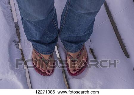 Woman's feet standing in the snow wearing flip flops; Churchill, Manitoba, Canada View Large Photo Image Stock Photograph - Woman's feet standing in the snow wearing flip flops; Churchill, Manitoba, Canada. Fotosearch