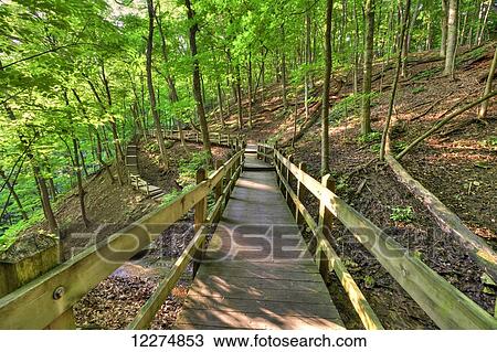 Stock Image - Wooden walkway to Bridal Veil Falls at Pikes Peak State Park, near McGregor; Iowa, United States of America. Fotosearch
