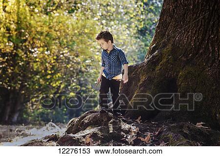 Young boy exploring in a forest beside a large oak tree; Langley, British Columbia, Canada View Large Photo Image Stock Image - Young boy exploring in a forest beside a large oak tree; Langley, British Columbia, Canada. Fotosearch