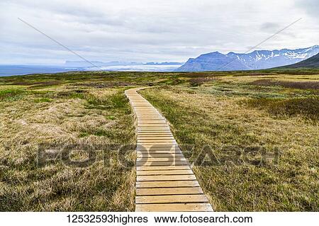 Stock Photograph - A boardwalk path leads hikers through the hiking route on the Vatnajokull National Park plateau; Iceland. Fotosearch