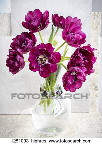 Stock Photograph - A bouquet of purple tulips in a decorative vase; Surrey, British Columbia, Canada. Fotosearch