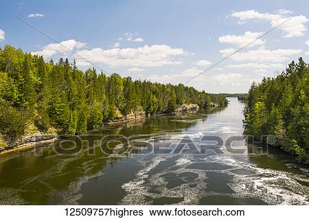 A calm river snakes through pines forest on a beautiful summer day; Campbellford, Ontario, Canada View Large Photo Image Stock Photograph - A calm river snakes through pines forest on a beautiful summer day; Campbellford, Ontario, Canada. Fotosearch