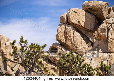 A cave-like hollow in a large rock formation, Joshua Tree National Park, California, United States of America View Large Photo Image Stock Photograph - A cave-like hollow in a large rock formation, Joshua Tree National Park, California, United States of America. Fotosearch