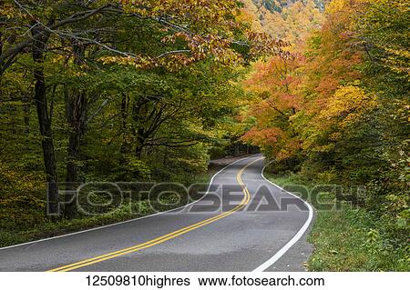 A country road with autumn coloured foliage on the trees, Green Mountains; Stowe, Vermont, United States of America View Large Photo Image Stock Photograph - A country road with autumn coloured foliage on the trees, Green Mountains; Stowe, Vermont, United States of America. Fotosearch
