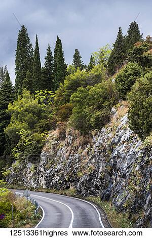 Stock Photograph - A curved road along a rock wall and a variety of trees growing on it; Perast, Kotor Municipality, Monte. Fotosearch