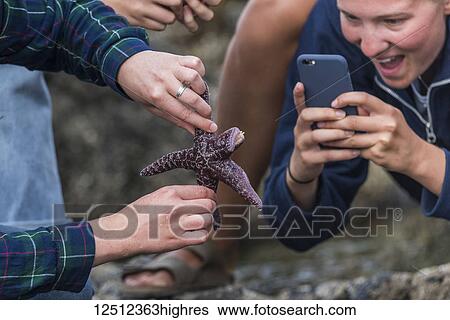 Stock Photograph - A family looks excitedly at a starfish while someone takes a picture of the underside; Tofino, British Columbia, Canada. Fotosearch