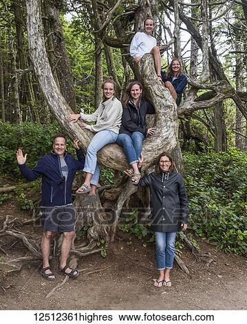 A family portrait with four daughters in a tree on Vancouver Island; Ucluelet, British Columbia, Canada View Large Photo Image Stock Photograph - A family portrait with four daughters in a tree on Vancouver Island; Ucluelet, British Columbia, Canada. Fotosearch