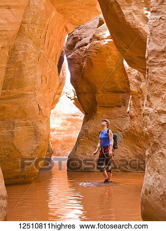 Stock Photograph - A female adventurer admiring the height of the slot canyon she is surrounded by water in; Hanksville, Utah, United States of America. Fotosearch
