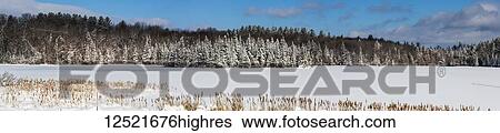 Stock Photograph - A field and trees covered with snow under a blue sky; Quebec, Canada. Fotosearch