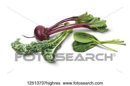 Stock Photograph - A fresh beet with kale and spinach leaves on a white background. Fotosearch