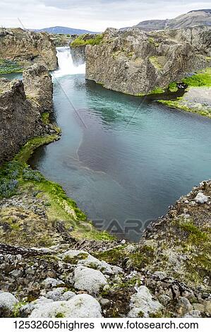 Stock Photograph - A gorgeous hilltop viewpoint of the Hjalparfoss waterfall and river through a valley of lupine flowers; Iceland. Fotosearch