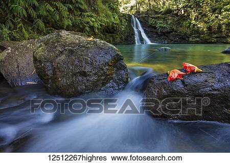 A lush roadside waterfall on the famous road to Hana; Maui, Hawaii, United States of America View Large Photo Image Stock Photograph - A lush roadside waterfall on the famous road to Hana; Maui, Hawaii, United States of America. Fotosearch