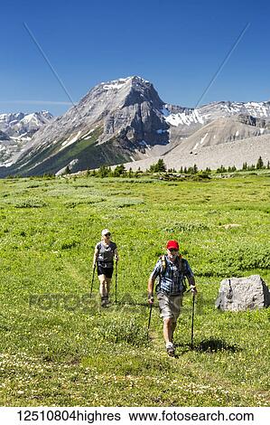 Stock Photograph - A man and woman hiking along an alpine meadow trail with mountains and blue sky in the background; Kananaskis Country, Alberta, Canada. Fotosearch