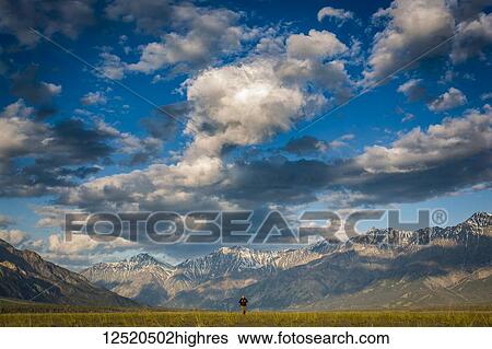 Stock Photograph - A man walks across a grass field with the majestic mountains of Kluane National Park in the background; Destruction Bay, Yukon Territory, Canada. Fotosearch