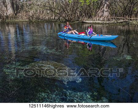 Stock Photograph - A mother and daughter kayak over a manatee (Trichecus manatus) in a freshwater spring in Florida; Chiefland, Florida, United States of America. Fotosearch