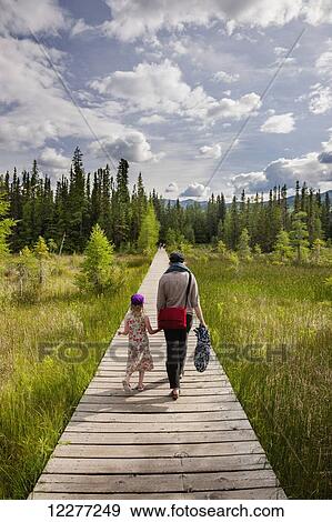 A mother and daughter walk down a boardwalk through a wetland surrounded by evergreen trees, Liard River Hot Springs Provincial Park, British Columbia, Canada, Summer View Large Photo Image Stock Photo - A mother and daughter walk down a boardwalk through a wetland surrounded by evergreen trees, Liard River Hot Springs Provincial Park, British Columbia, Canada, Summer . Fotosearch