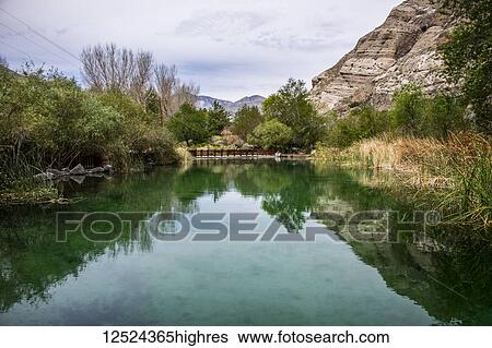 Stock Photograph - A pond in Whitewater Preserve; Whitewater, California, United States of America. Fotosearch