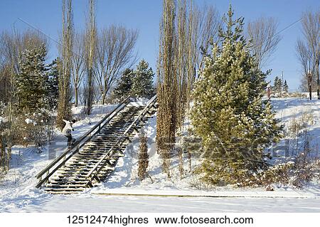 Stock Photograph - A professional snowboarder does a switch nosepress trick on a rail in winter; Edmonton, Alberta, Canada. Fotosearch