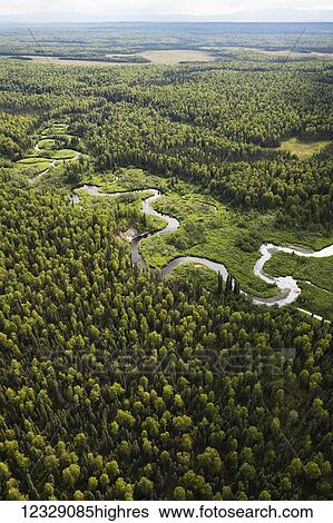 A river winding through a forested landscape, Matanuska-Susitna Borough; Alaska, United States of America View Large Photo Image Stock Photograph - A river winding through a forested landscape, Matanuska-Susitna Borough; Alaska, United States of America. Fotosearch