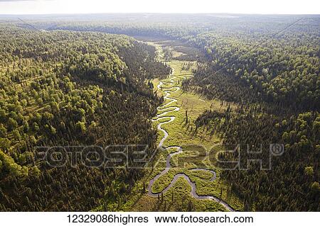 Stock Photograph - A river winding through a forested landscape, Kenai Peninsula; Alaska, United States of America. Fotosearch