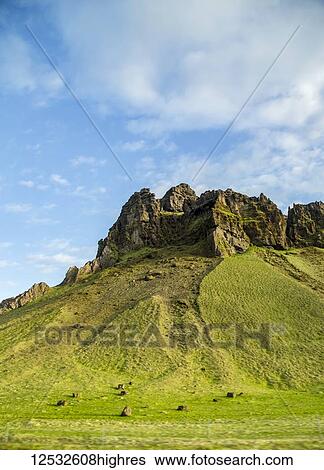 A rugged rocky peak that looks like a monument against the green hillside and blue sky, a common view to see on a road trip through Iceland; Iceland View Large Photo Image Stock Photograph - A rugged rocky peak that looks like a monument against the green hillside and blue sky, a common view to see on a road trip through Iceland; Iceland. Fotosearch