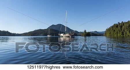 A sailboat and inflatable boat moored on the tranquil waters of Clayoquot Sound, Vancouver Island; Tofino, British Columbia, Canada View Large Photo Image Stock Photograph - A sailboat and inflatable boat moored on the tranquil waters of Clayoquot Sound, Vancouver Island; Tofino, British Columbia, Canada. Fotosearch