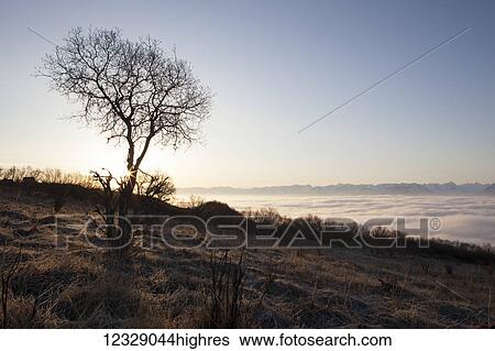 Stock Photograph - A sloped landscape above the clouds with a mountain range in the distance and blue sky; Alaska, United States of America. Fotosearch