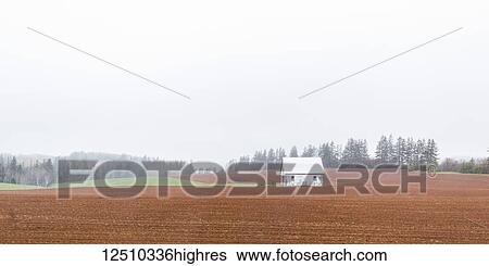 Stock Photograph - A small white building on a farm field in the fog; Prince Edward Island, Canada. Fotosearch