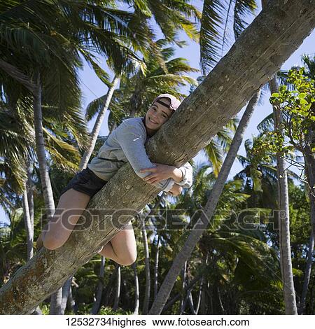 A teenage girl clings to a leaning tree trunk; Belize View Large Photo Image Stock Photograph - A teenage girl clings to a leaning tree trunk; Belize. Fotosearch