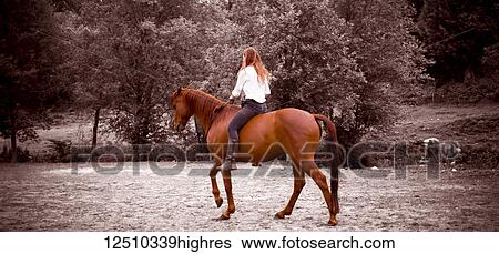 A teenage girl riding and training a horse in a field; British Columbia, Canada View Large Photo Image Stock Photograph - A teenage girl riding and training a horse in a field; British Columbia, Canada. Fotosearch